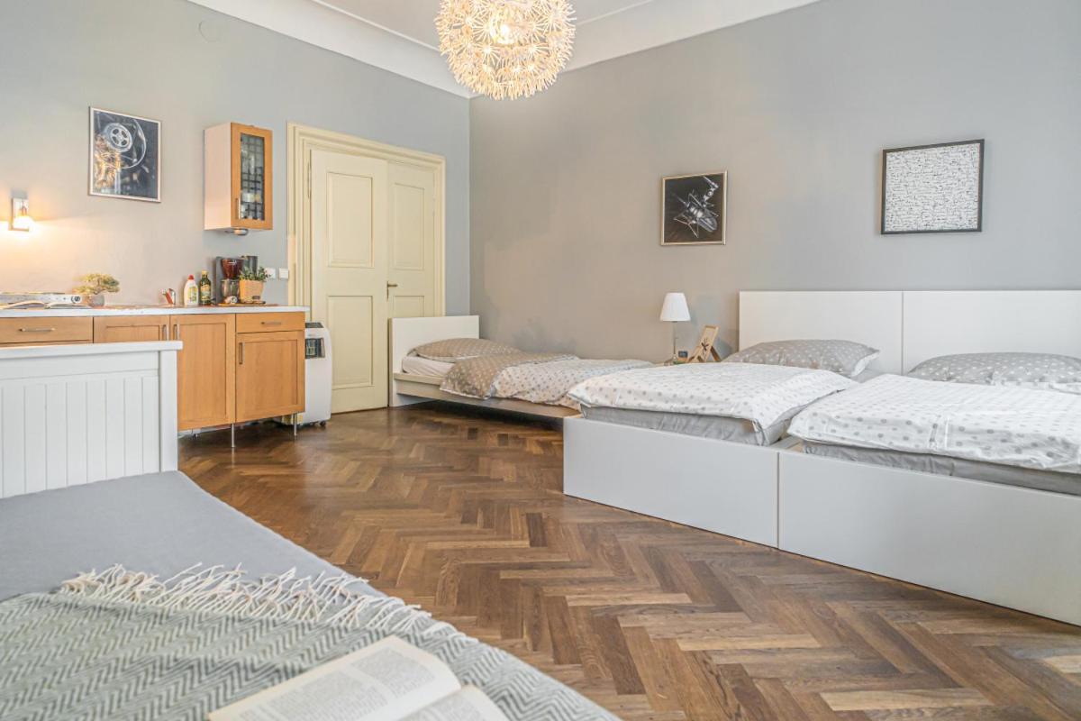 Bright Studio Close To Charles Bridge And Prague Castle Apartment Bagian luar foto